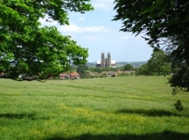 Beverley Westwood